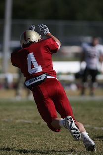 华体会娱乐app-德甲球队视频分析辅助防守站位调整的实证研究，德甲身体对抗